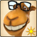 Wintrino Magic Camel game